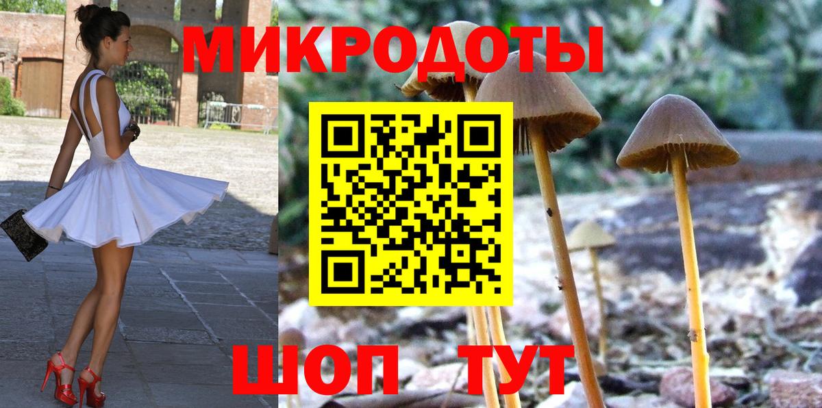 Галлюциногенные грибы Cubensis Краснодар