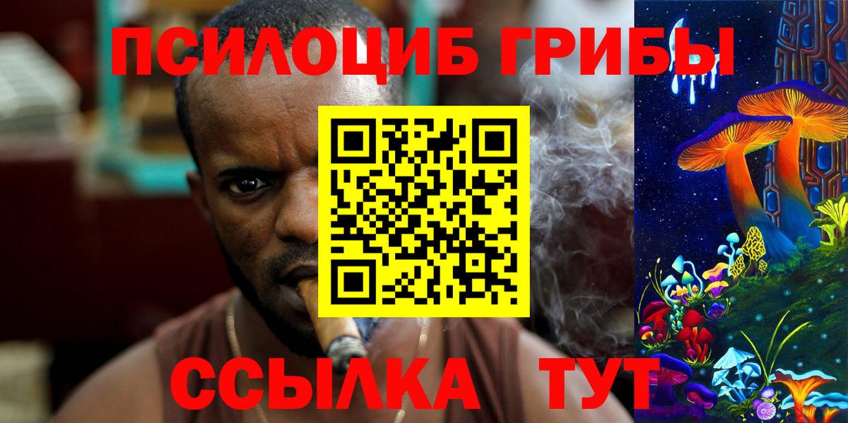 Краснодар  наркота  Вход с VPN  Псилоцибиновые грибы Cubensis 